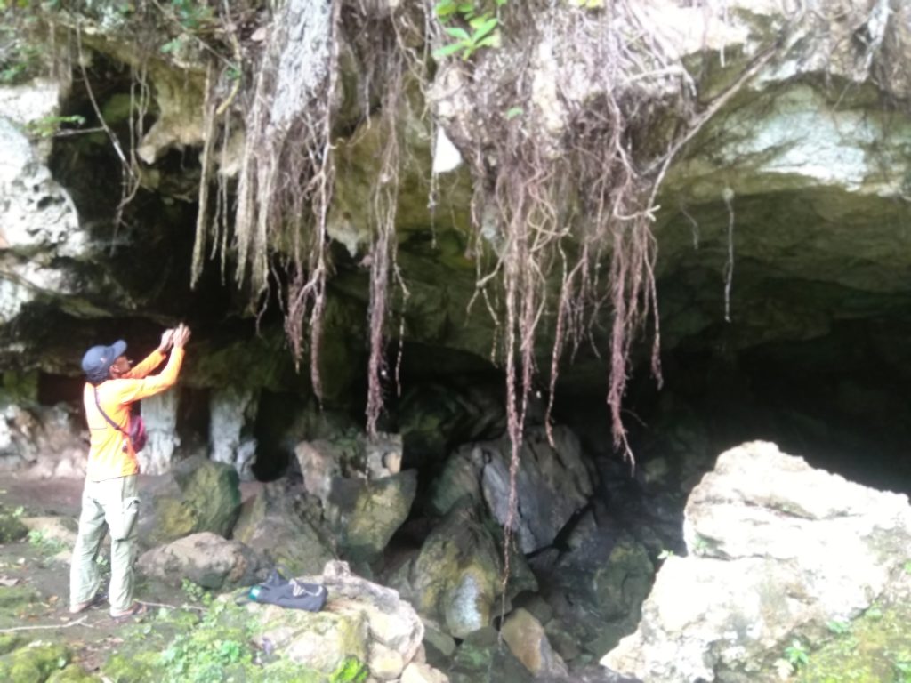 Ajuk Wagembo, Penjaga Situs Liang Kabori, Kabupaten Muna