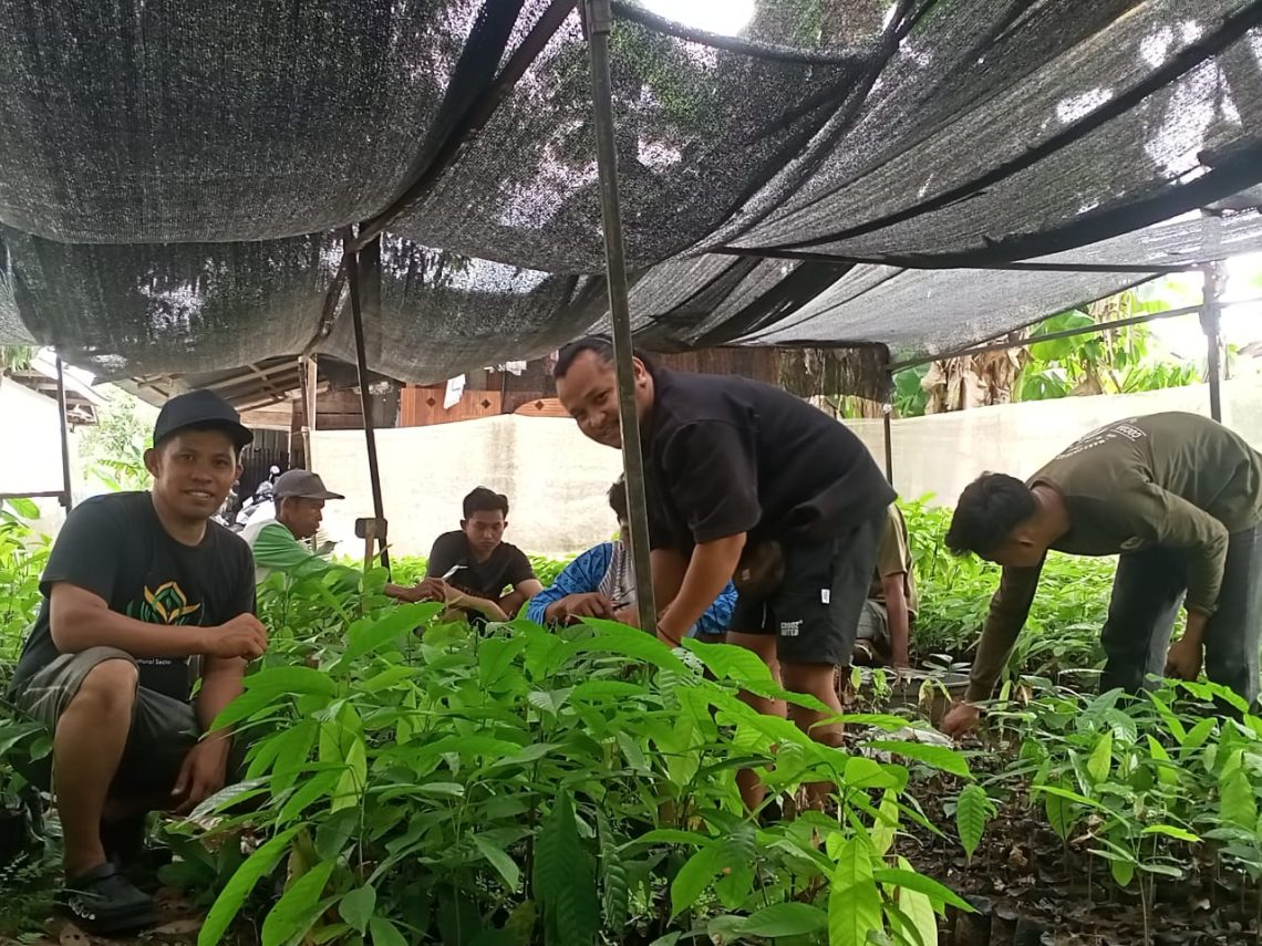 Foto Petani Coklat di Kecamatan Bengo, Kabupaten Bone, Provinsi Sulawesi Selatan