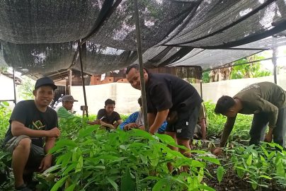 Foto Petani Coklat di Kecamatan Bengo, Kabupaten Bone, Provinsi Sulawesi Selatan